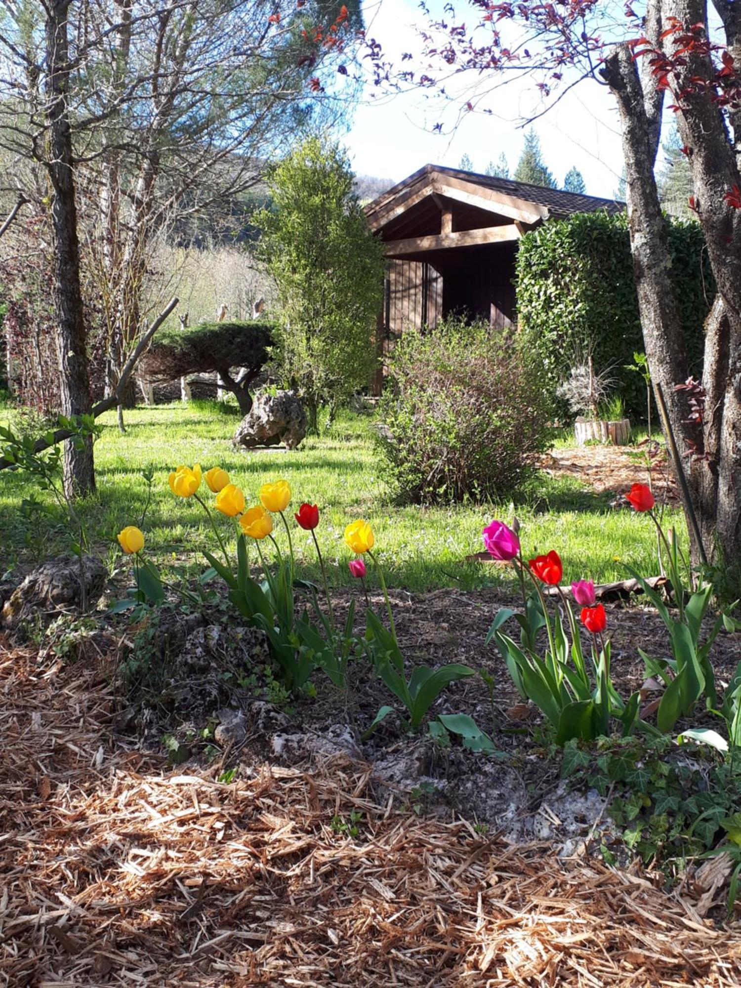 Les Chalets Du Roc Alzon Kültér fotó